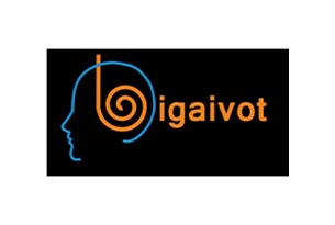 BigAiVot